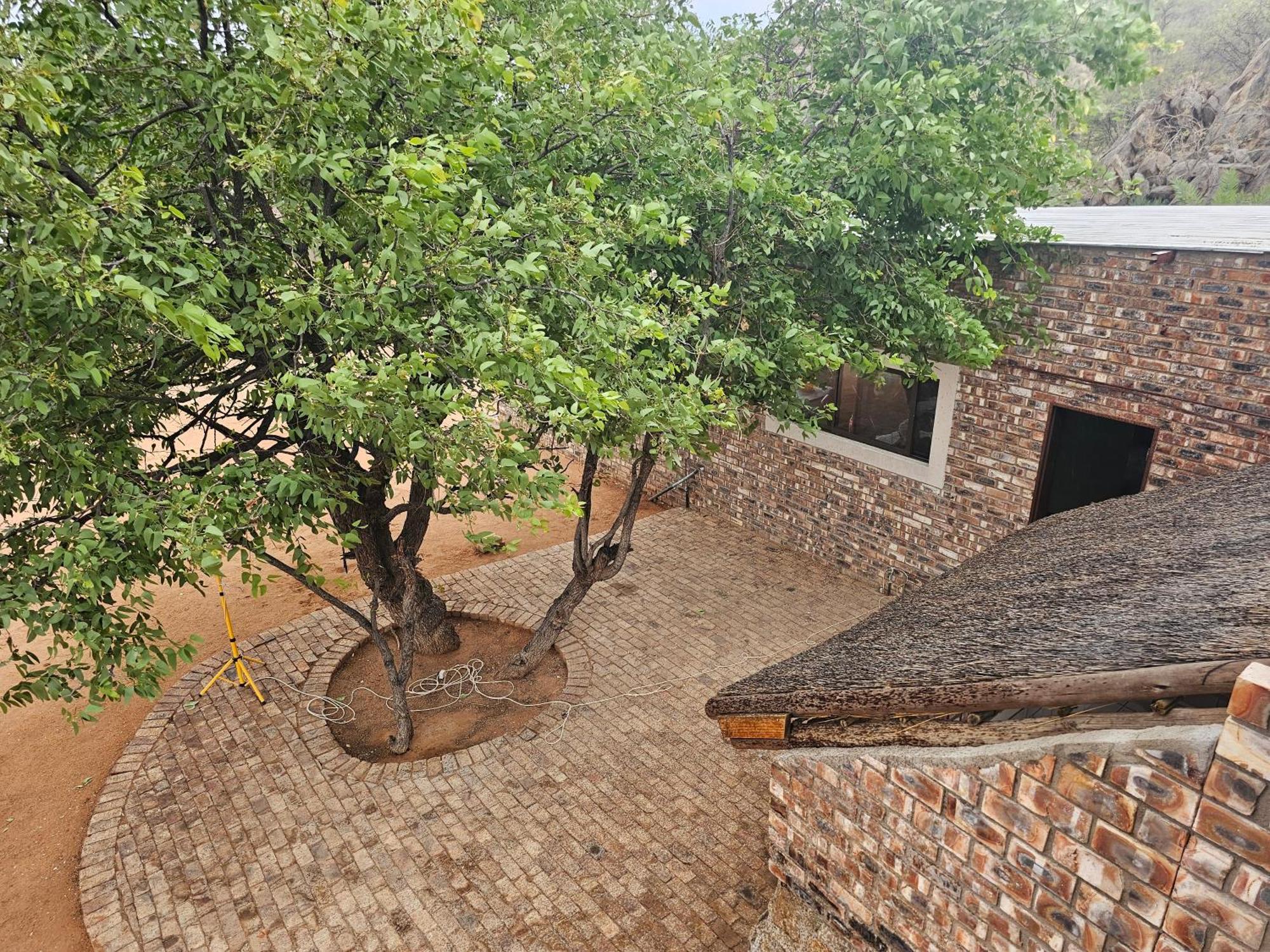 Kaoko Bush Lodge Kamanjab Εξωτερικό φωτογραφία