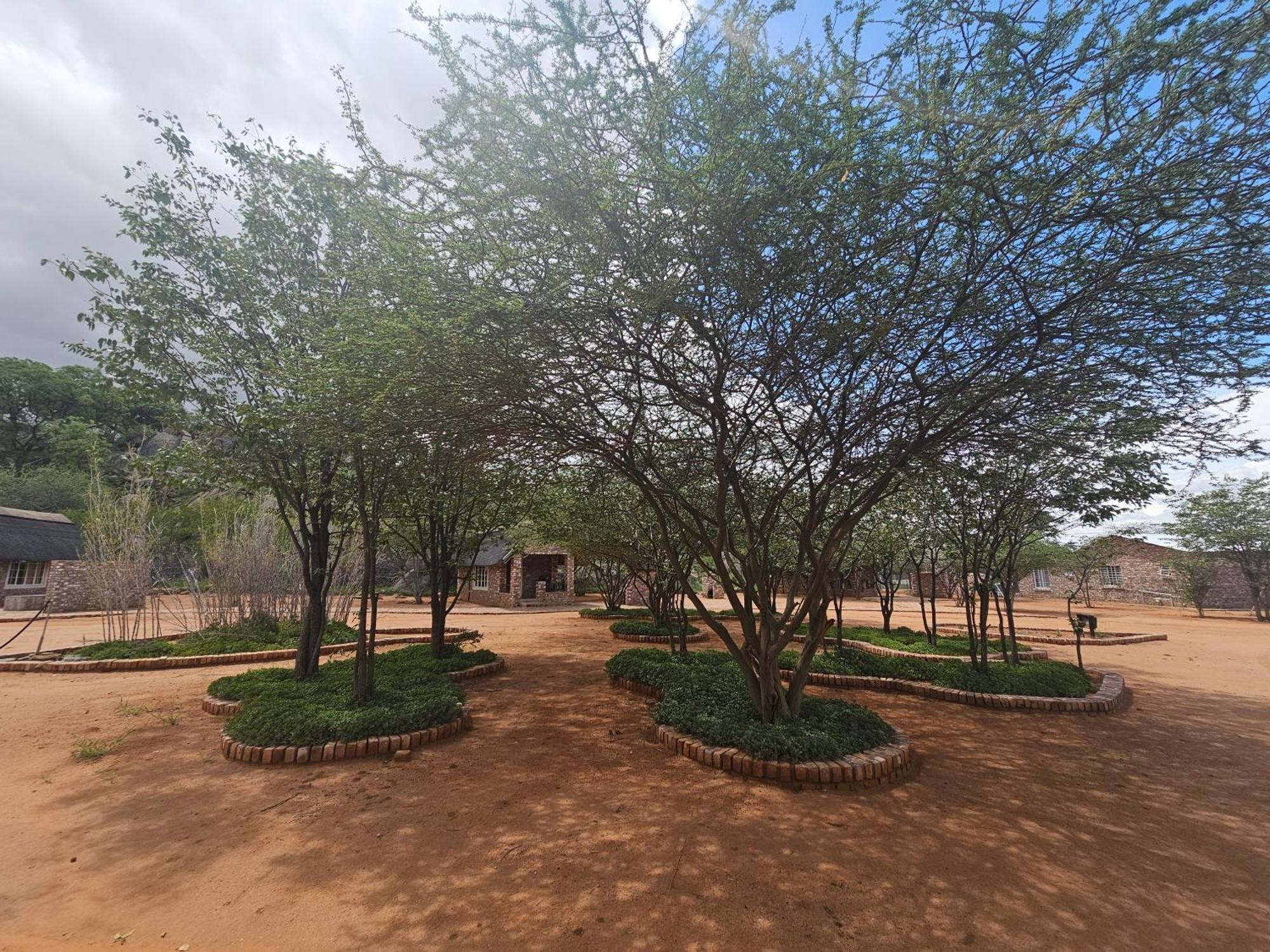Kaoko Bush Lodge Kamanjab Εξωτερικό φωτογραφία